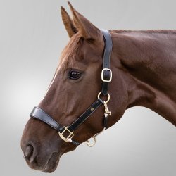 Waldhausen Royal S-Line Ldergrime Brun