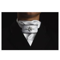 ANKY Plastron Stock Tie Stone Deluxe White/Silver