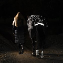 Amigo 1200D FieldSafe Reflectech Plus Turnout 250g Sort/Reflectech