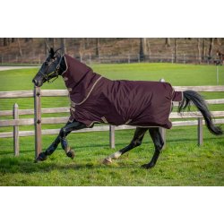 Amigo Hero Ripstop Plus 100g Fig/navy