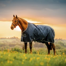 Amigo Ripstop 900D Pony Turnout 50g Whitney Navy