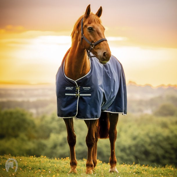 Amigo Ripstop 900D Pony Turnout 50g Whitney Navy