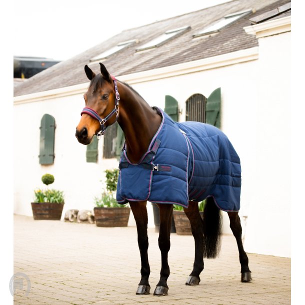Rambo Optimo Stable 200g Navy/Burgundy