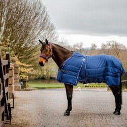 Rambo Optimo Stable 200g Navy/Burgundy