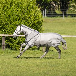 Rambo Optimo Protector Plus Silver/Thunderstorm/Grey