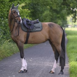 BOSS EQ SS26 Cheltenham Underlag Pine Grove