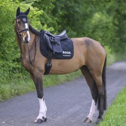 BOSS EQ SS26 Cambridge Underlag Sort