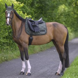 BOSS EQ SS26 Cambridge Underlag Pine Grove