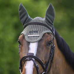 BOSS EQ SS26 Calgary Hut Pine Grove