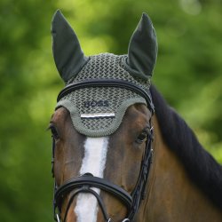 BOSS EQ SS26 Calgary Hut Pine Grove