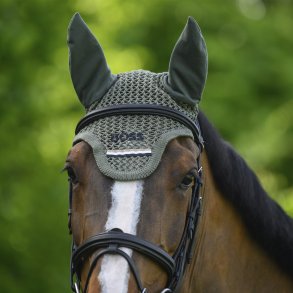 BOSS EQ SS26 Calgary Hut Pine Grove