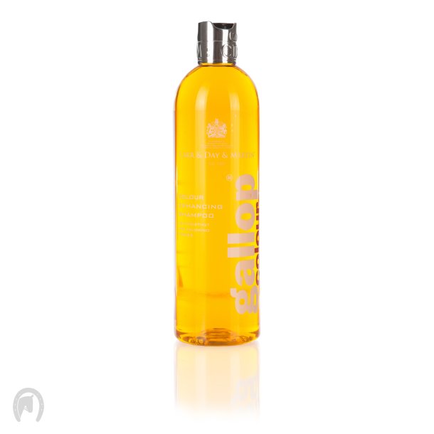 Gallop Colour shampoo - Palomino/rde heste