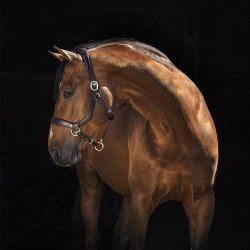 Micklem Lder Grime Sort