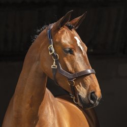 Micklem Lder Grime Sort