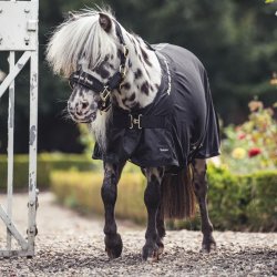 Back on Track Pony Deluxe Netd�kken Sort 
