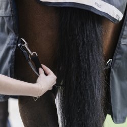 Horseware Benstropper Sort