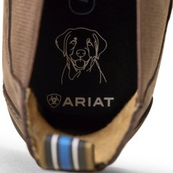 Ariat Cooper Chelsea St�vle Dame Brun