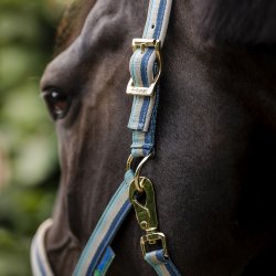 Bucas Dublin Grime Turquoise