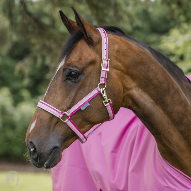 Bucas Dublin Grime Aurora Pink