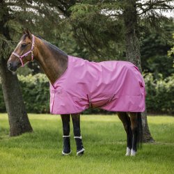 Bucas Freedom Turnout Light Aurora Pink