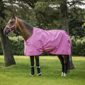 Bucas Freedom Turnout Light Aurora Pink