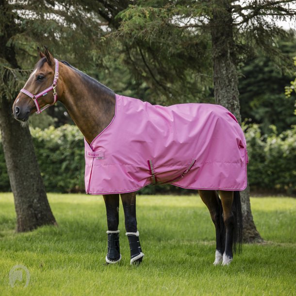 Bucas Freedom Turnout Light Aurora Pink