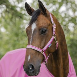 Bucas Dublin Grime Aurora Pink