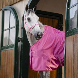 Bucas Freedom Turnout Light Aurora Pink