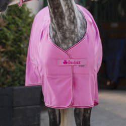 Bucas Freedom Turnout Light Aurora Pink