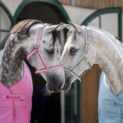 Bucas Dublin Grime Turquoise