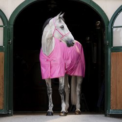 Bucas Freedom Turnout Light Aurora Pink