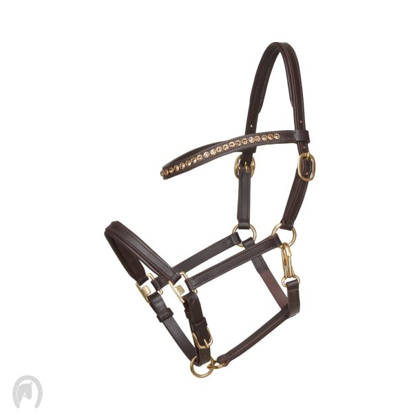 Horse Guard Fl Showgrime Lder Brun