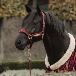 Kentucky Velvet Grime Bordeaux