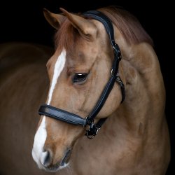 Catago Brielle Logo Ldergrime Sort