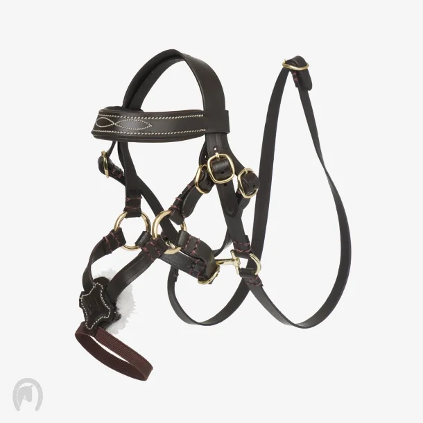 LeMieux Mini Pony Grackle Trense Brun