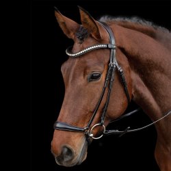 Schockem�hle Pisa Trense m. Hannoveransk N�seb�nd Sort