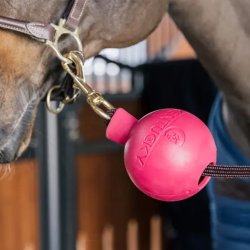 Kentucky Tov & Vgbeskyttelse Gummi Pink