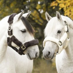 Kllquist Grime m. ples Natur