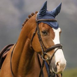 LeMieux Classic Lycra Hut Atlantic