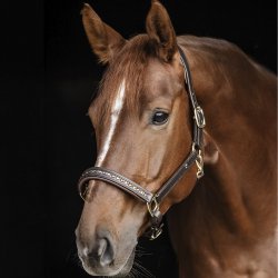 Waldhausen Lder Grime Crystal Brun/Guld