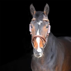 Equality Line Skyklapper Sort