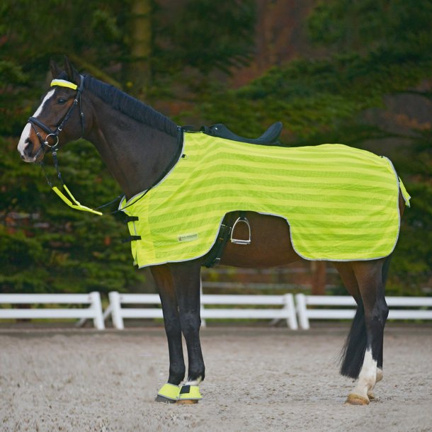 Waldhausen Refleks Ridedkken