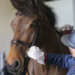 CDM Belvoir Tack Cleaner Mitt