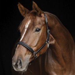 Waldhausen Lder Grime S-Line Classy Sort