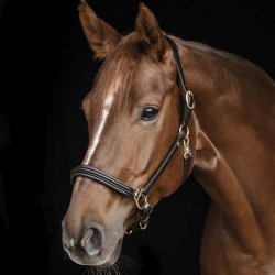 Waldhausen Lder Grime S-Line Classy Brun