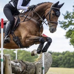 LeMieux Cross Country Mimsafe Gamacher Sort - Forben