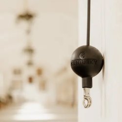 Kentucky Tov & Vgbeskyttelse Gummi Sort