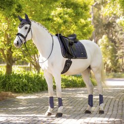 LeMieux Loire Classic Dressage Dusk Blue