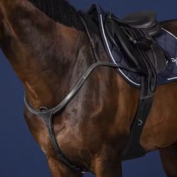 Dyon Fortj Sort m. Messing