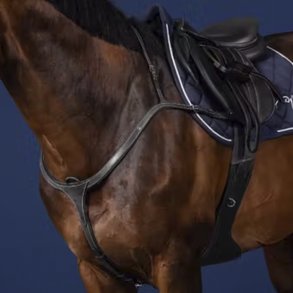 Dyon Fortj Sort m. Messing